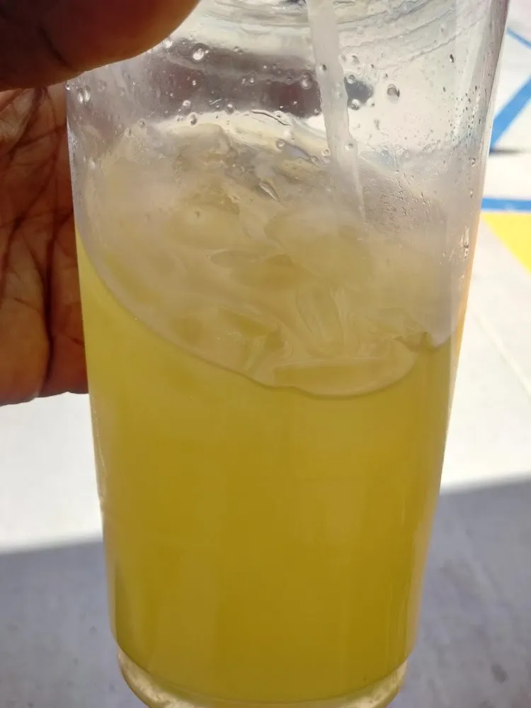 Mango Juice